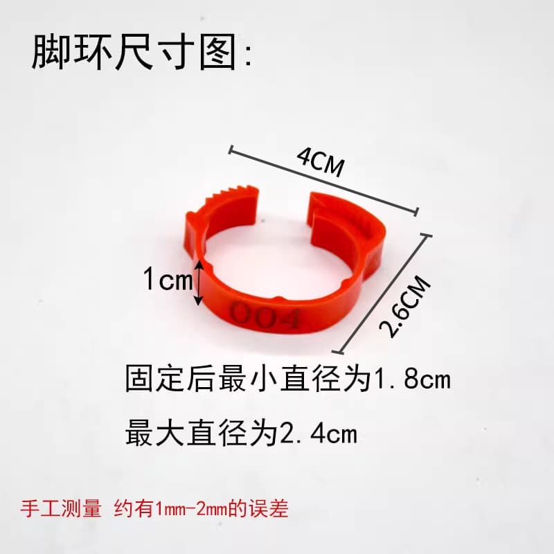 (Cross-border trading), adjustable universal ankle bracelet 2