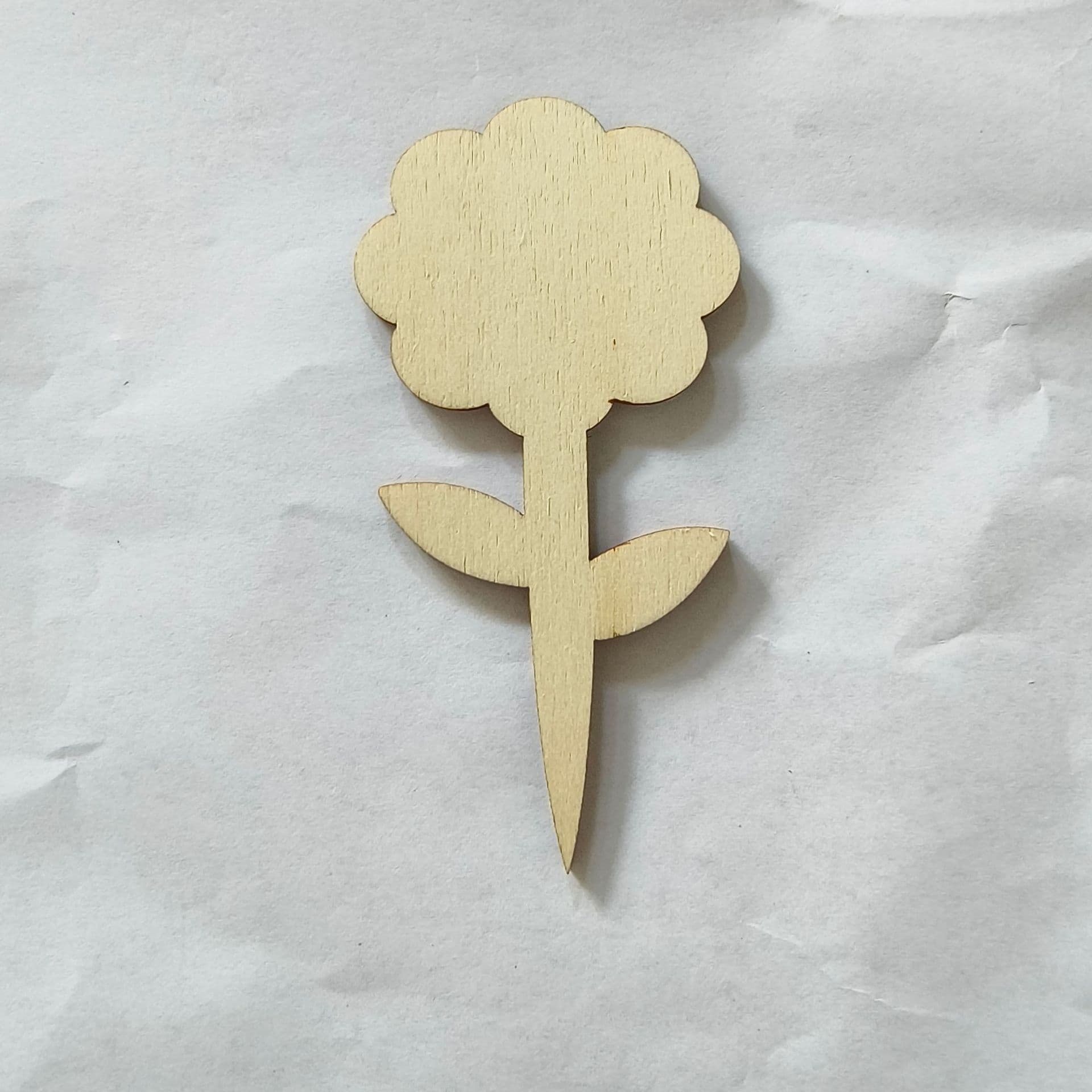 Wooden Plant Labels with Writable Tags 4