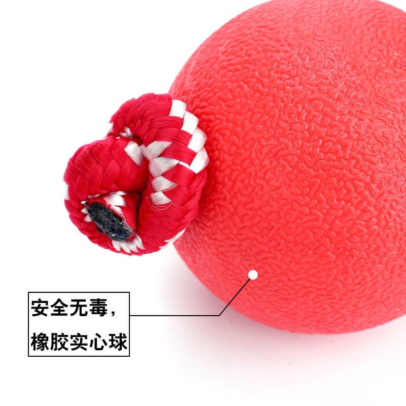 Rubber bouncy ball, toy with rope, can bite, pet 5