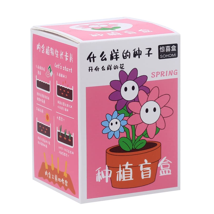 Creative plant blind box small potted children's graduation gift seed flower planting desktop mini plant potted plant 5