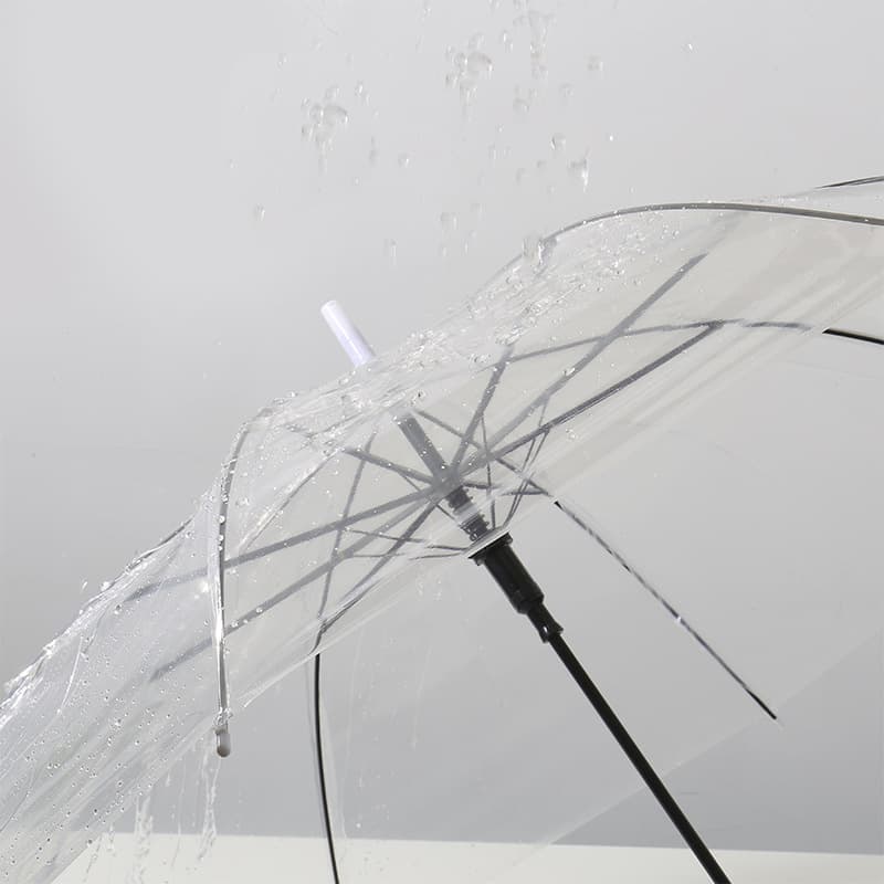 (Wholesale), fresh automatic umbrella for students 3