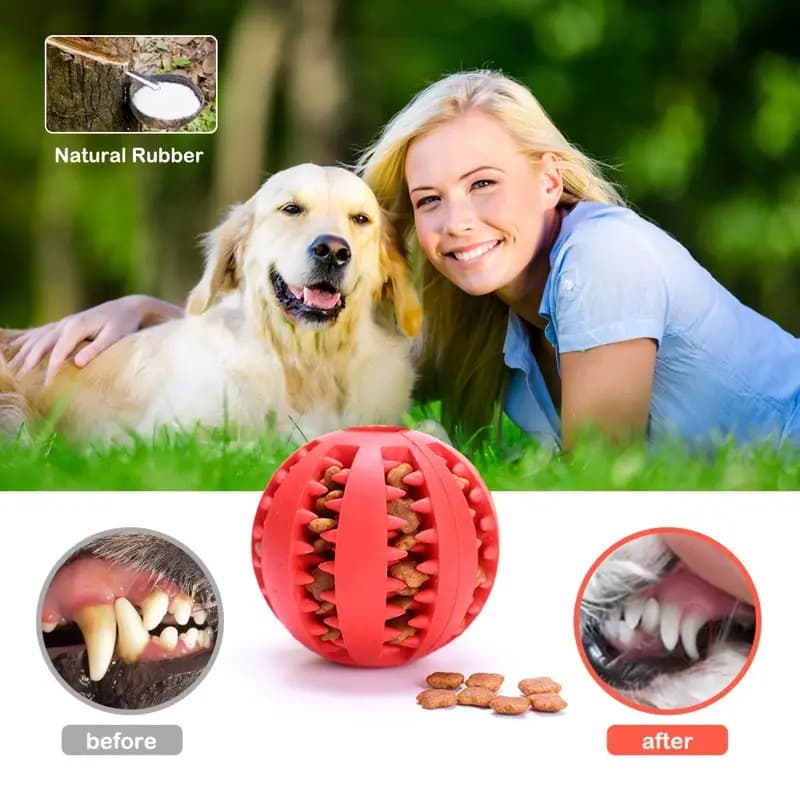 Pet Interactive Treat Dispensing Chew Ball - Durable Toy for Dogs 2