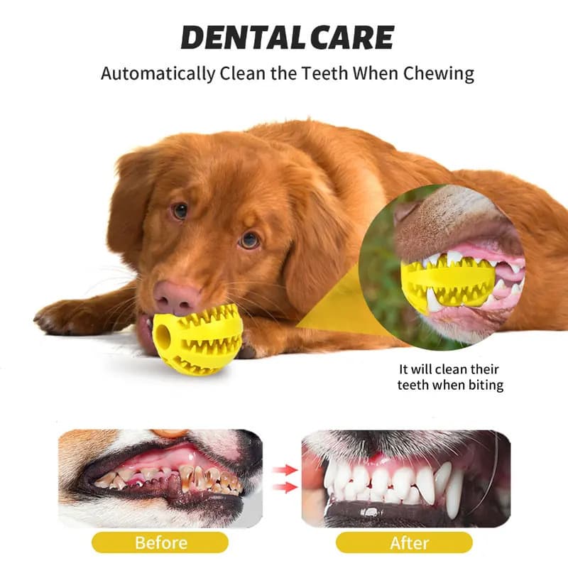 Pet Interactive Treat Dispensing Chew Ball - Durable Toy for Dogs 3