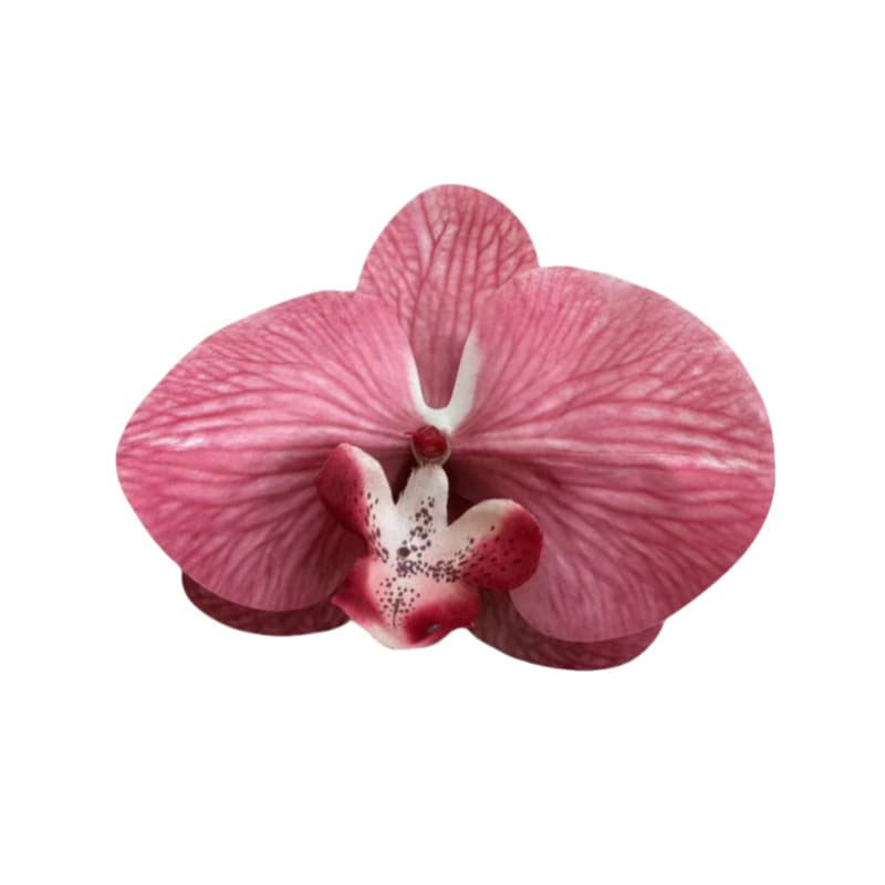 3D Print Film Phalaenopsis Flower Head Marriage Sugar Sugar Box Decoration Simulation Single Flower Flower Material 5