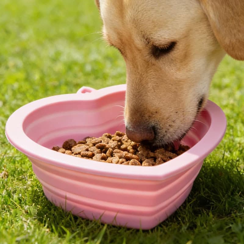 Pet silicone folding bowl Portable outdoor travel folding bowl dog bowl, cats, cats and dogs drink water bowl pet food pot 3