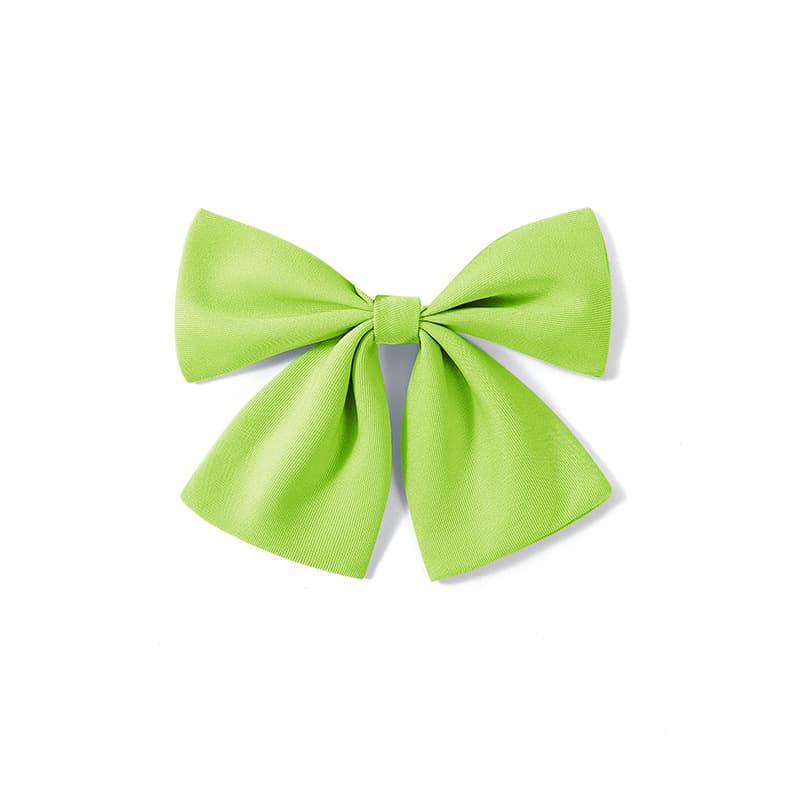 Adjustable bow tie for students for men and women, accessories, (Physicals) 5