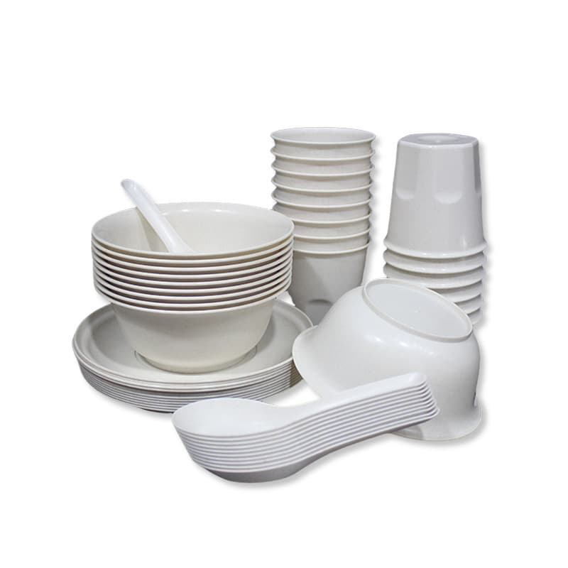 Disposable tableware, ecological set for home use, 4 piece set, 3 piece set 5