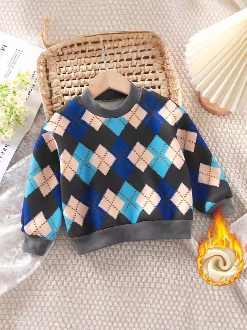 (Wholesale), children's fleece demi-season T-shirt for boys, sweater, keep warm sweatshirt, increased thickness, children's clothing 2