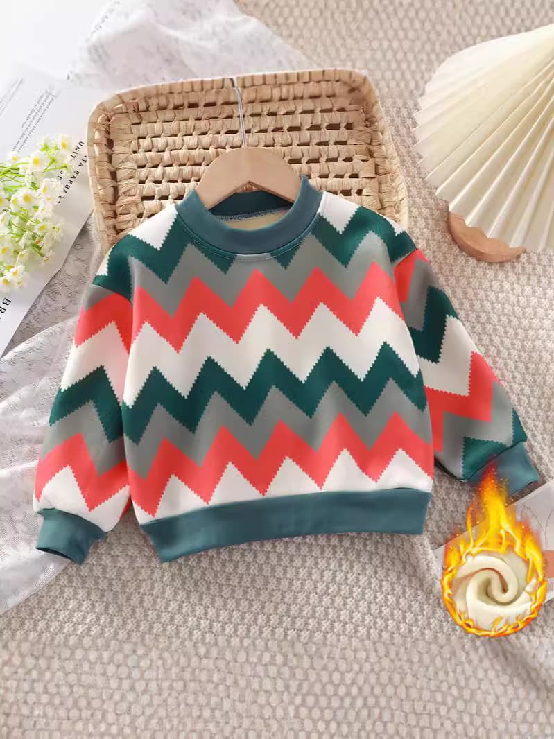 (Wholesale), children's fleece demi-season T-shirt for boys, sweater, keep warm sweatshirt, increased thickness, children's clothing 5