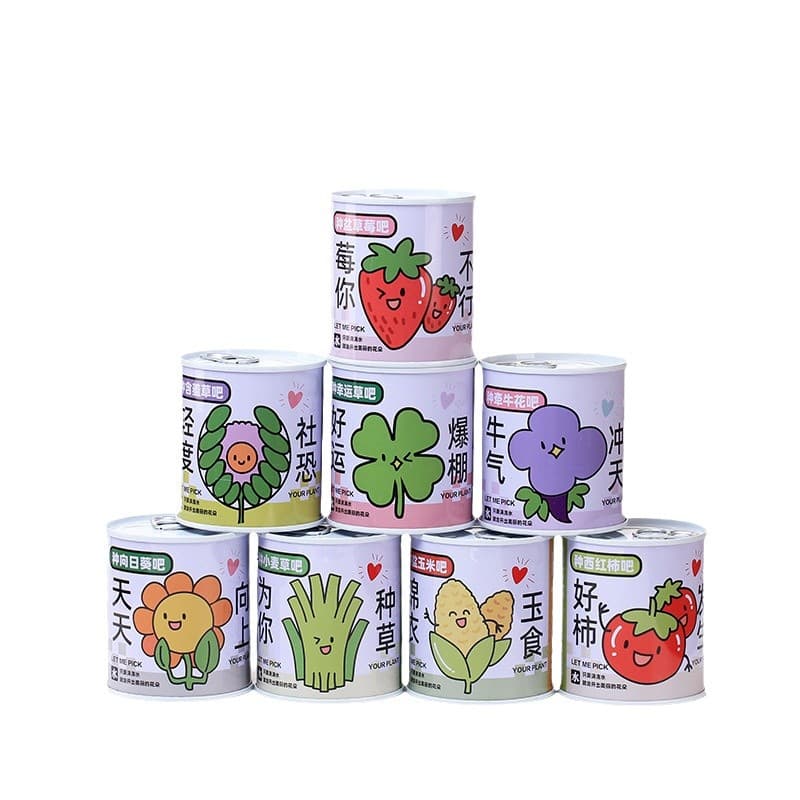Children's flowers can potted plants desktop small green plants observation of plant growth of primary school students in kindergarten 5