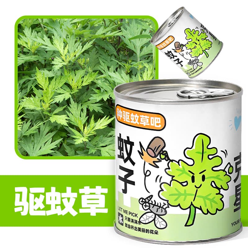 Children's flowers can potted plants desktop small green plants observation of plant growth of primary school students in kindergarten 7
