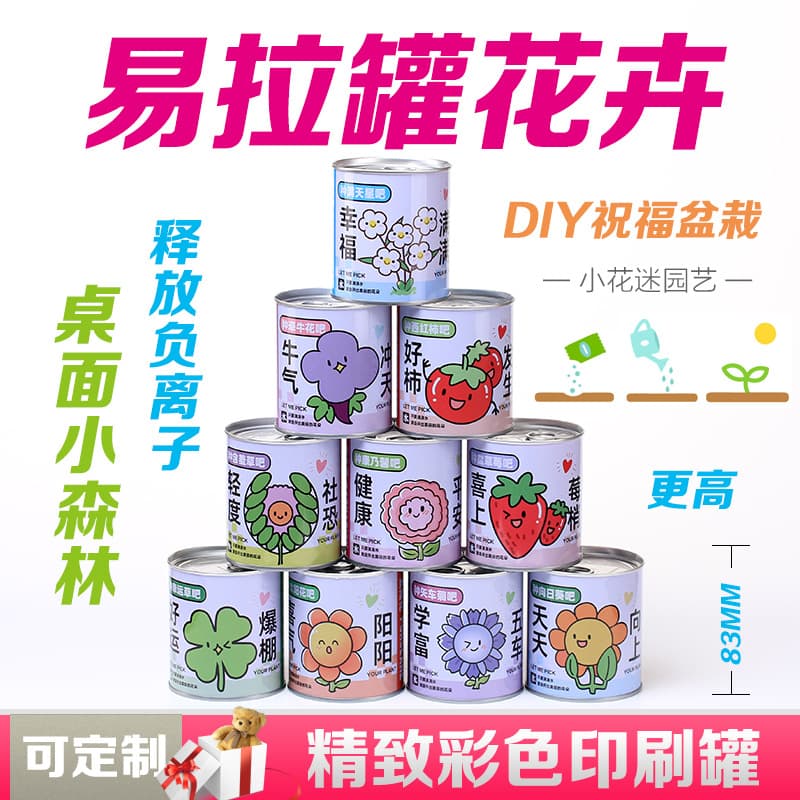 Children's flowers can potted plants desktop small green plants observation of plant growth of primary school students in kindergarten