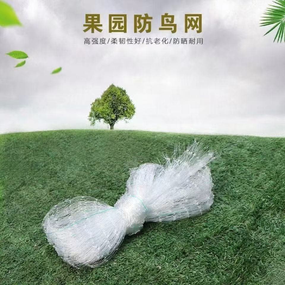 (Cross-border trading), diverse airplane for growing plants, factory direct supply 3