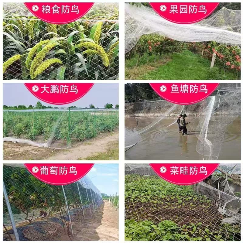 (Cross-border trading), diverse airplane for growing plants, factory direct supply 4
