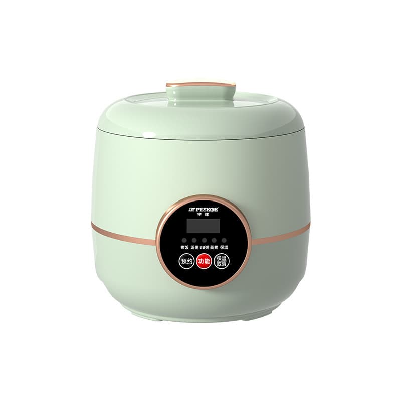 Mini Smart Rice Cooker 1-2 Person Capacity with Delay Timer 5
