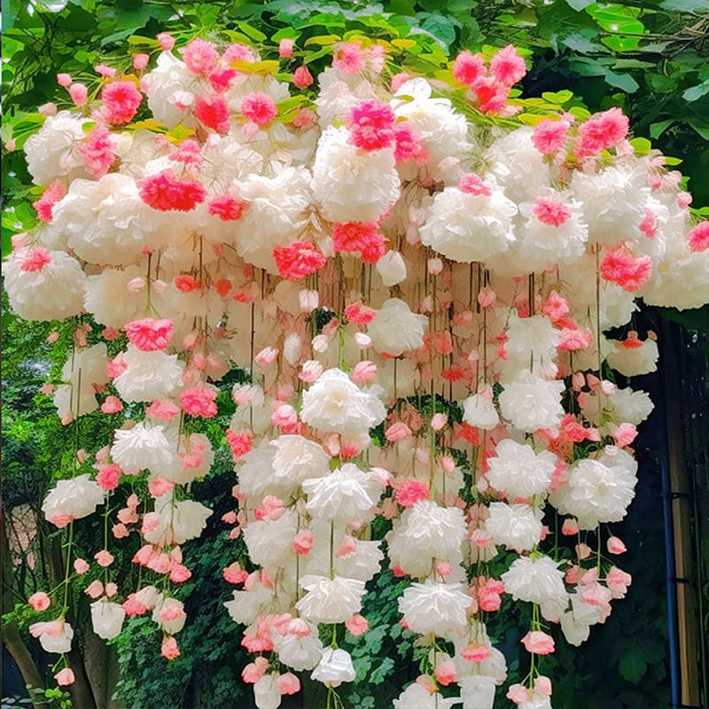 Whipped crabapple seeds easy to live all seasons to seed bloom indoor outdoor plants flowers vine plants 2