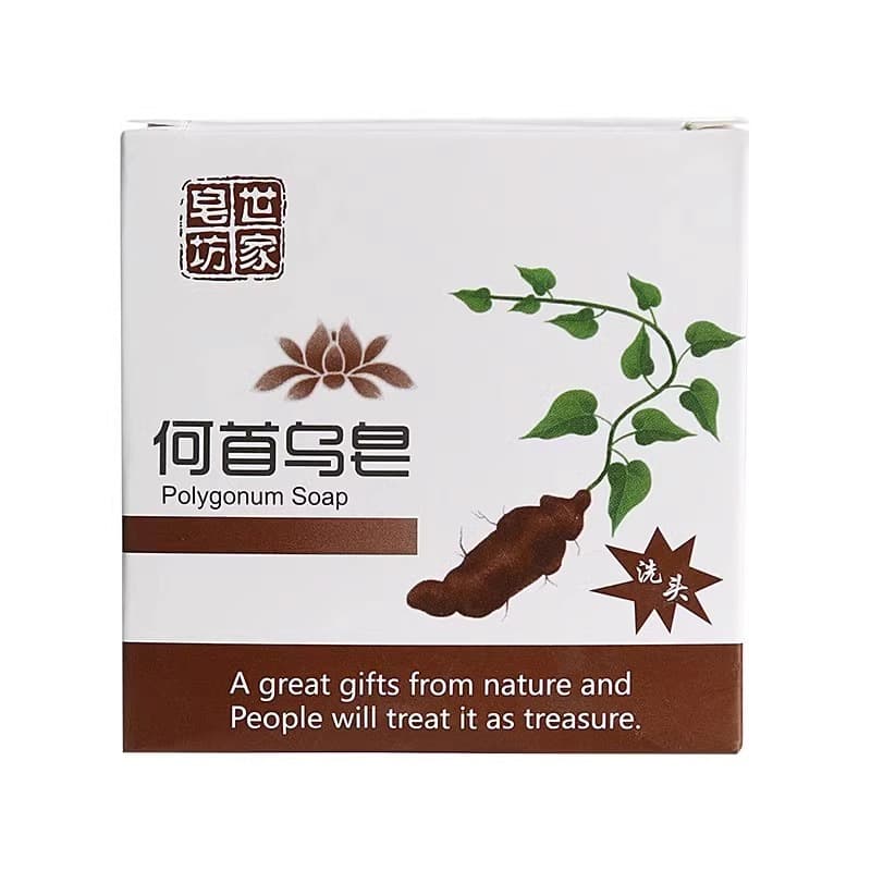 Soap Family Handmade Shampoo with Reynoutria Multiflora 4