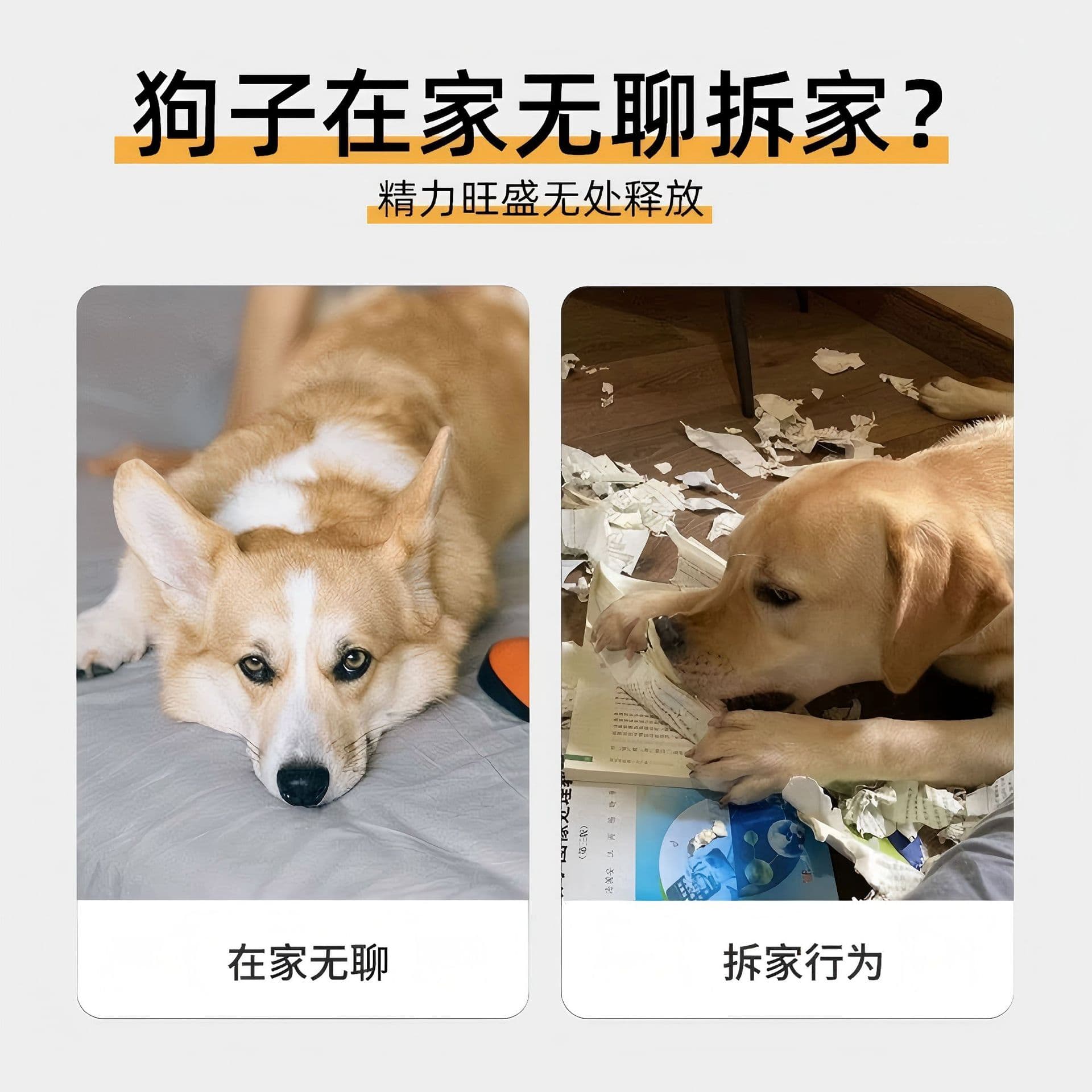 Dog bite toy simulated finger-clicking newspaper boredom-resisting tool for grinding teeth-resistant artifact pet finger-clicking cat and dog supplies 4