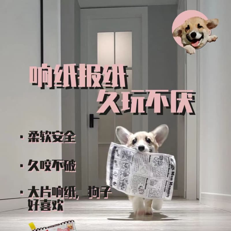 Pet dog toys toys to make sounds, newspapers, teeth grinding, small and medium-sized Teddy Corgi pet supplies 3