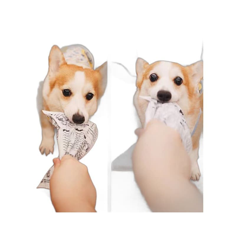 Pet dog toys toys to make sounds, newspapers, teeth grinding, small and medium-sized Teddy Corgi pet supplies 5