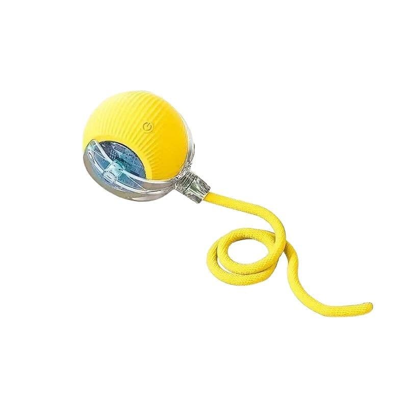 Automatic smart electric toy, pet, getting rid of boredom 5