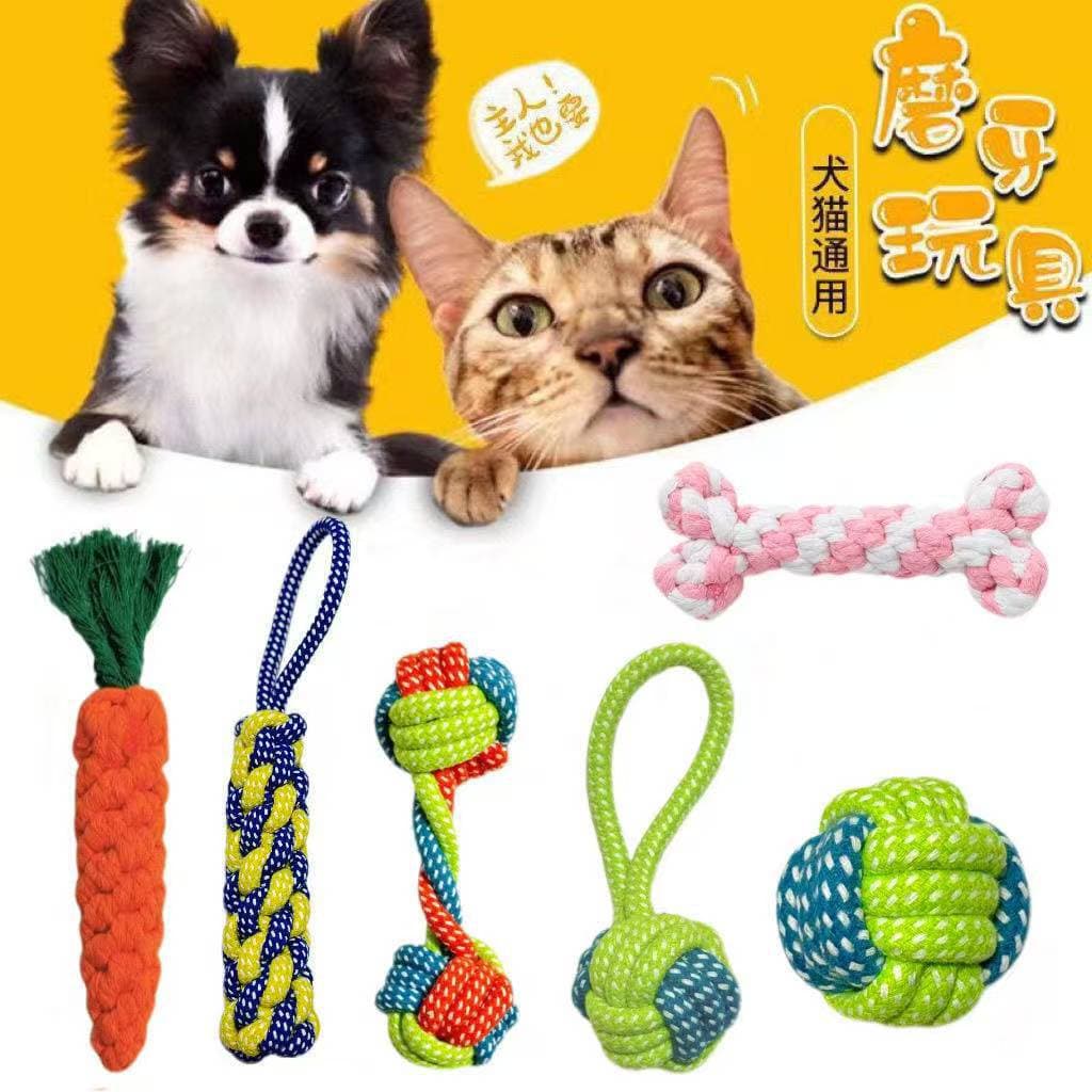 Toy, woven frisbee, set, pet 3