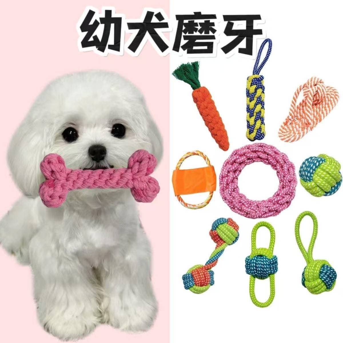 Toy, woven frisbee, set, pet 4