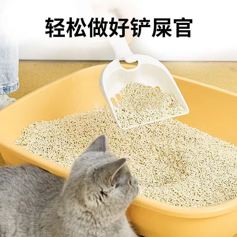White tea flavor removal tofu cat litter 10 pounds pack large bag cat occupancy tofu sand sand cat supplies free shipping to remove odor 3