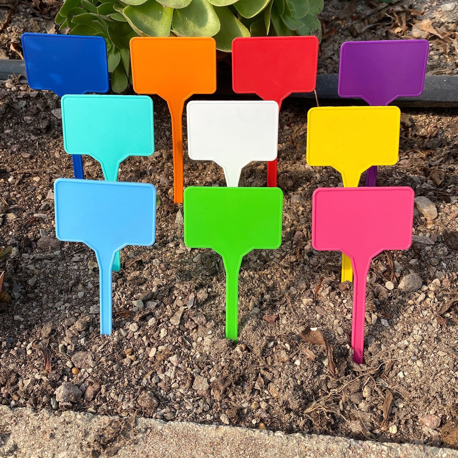 New thickened style high-end gardening label flower brand plant logo cross-border plastic potted marking plate 4