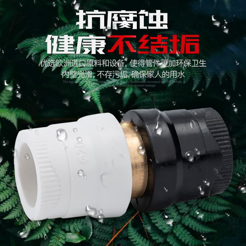 Top construction conversion joint ppr20 conversion union pe copper union water pipe accessories pert to pvc25 conversion 32 2