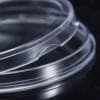 Protective coins, transparent medal 4