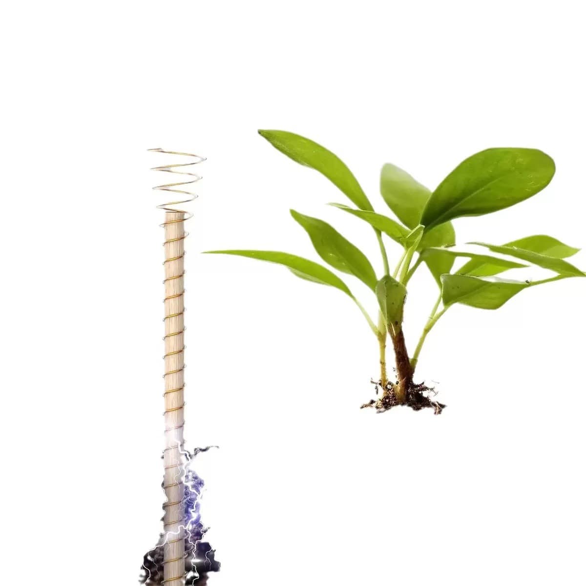 Pure copper circle antenna plant pile vegetable Electroculture electric cultivation garden plantation garden plant 3