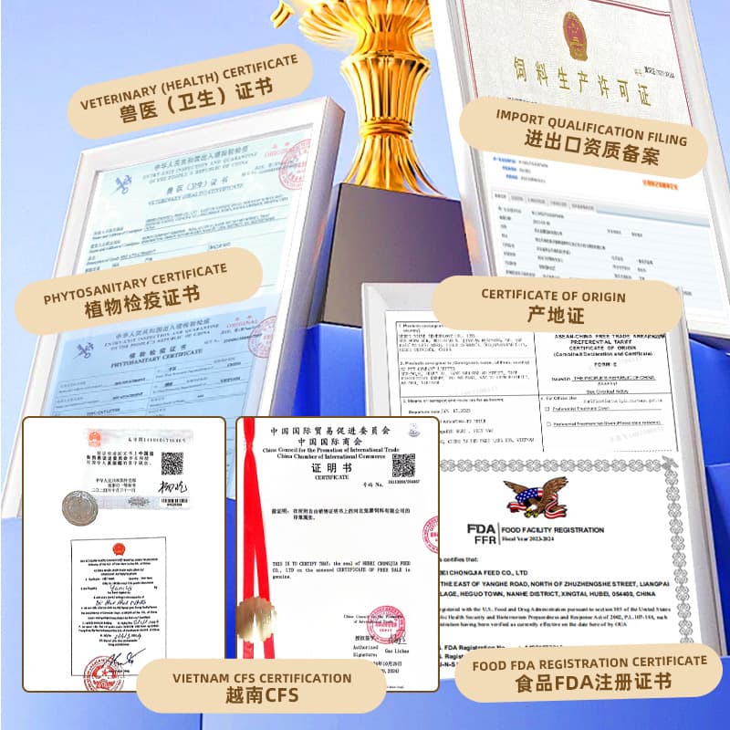 Export quality tofu cat litter wholesale original water-absorbent clumping cat litter manufacturer available for cross-border cat supplies cat litter 4