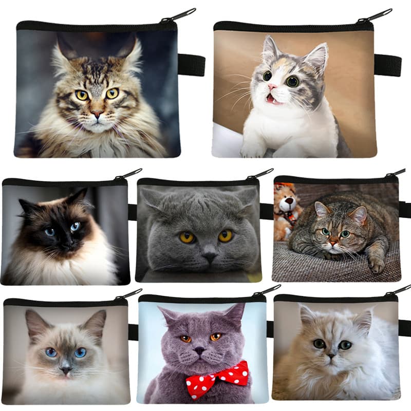 Cute children's wallet, handheld card holder, coins for keys, organizer bag, small clutch bag, polyester